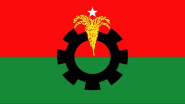ত্রিমুখী দ্বন্দ্বে স্থগিত নেছারাবাদ উপজেলা বিএনপির কমিটি গঠন প্রক্রিয়া