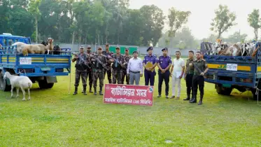 ব্রাহ্মণবাড়িয়া সীমান্তে এক মাসে ৯ কোটি টাকার মাদকদ্রব্য জব্দ