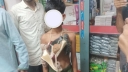পাংশায় চুরির অভিযোগে শিশুর গলায় জুতার মালা