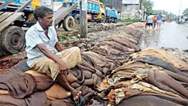 চামড়া উন্নয়ন অর্থনীতির মূল্যবান খাত