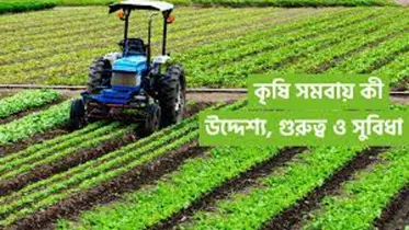 সমবায় কি কৃষক জানে না