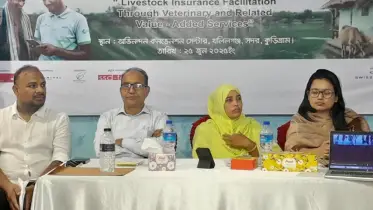 কুড়িগ্রামে গবাদিপশুর বীমা প্রকল্পের মাঠ কার্যক্রম শেষ, ব্যবসা সম্প্রসারণে কর্মশালা
