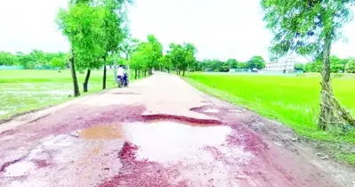 আমতলী-তালতলী উপজেলার সড়কের বেহাল দশা