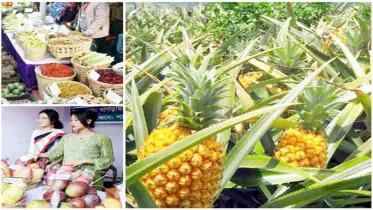 ফলের রাজ্য পার্বত্য চট্টগ্রাম