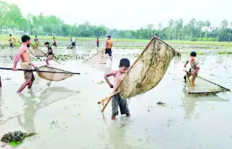 গ্রামে গ্রামে হ্যাঙ্গা জাল দিয়ে মাছ ধরার ধুম