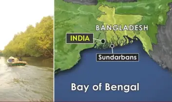 বাংলাদেশের জলসীমায় ঢুকে জেলেদের ওপর বিএসএফের হামলা