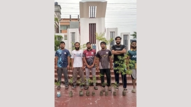 যবিপ্রবিতে বৃক্ষরোপণ কর্মসূচি