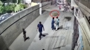 পাকিস্তানে পোষা সিংহের ভয়ংকর কাণ্ড!
