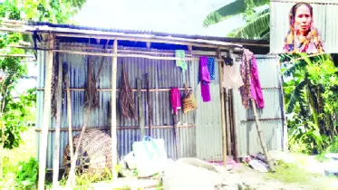 বয়স্ক নারীর জীবন সংগ্রাম