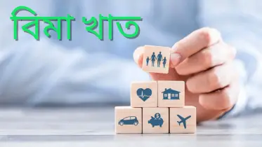 বিমা খাতে অনিয়ম চলছেই, ১৪ বছরেও ফেরেনি শৃঙ্খলা