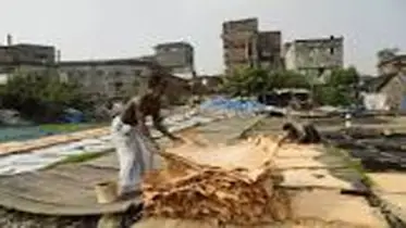 চামড়া শিল্পের উন্নয়নে সরকারকে আন্তরিক হওয়ার আহ্বান