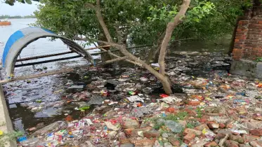প্লাস্টিক-পলিথিনের ব্যবহার সুন্দরবনের অস্থিত্বকে ‘চ্যালেঞ্জ’ জানাচ্ছে