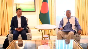 ভোট নিয়ে প্রধান উপদেষ্টাকে যে প্রস্তাব দিলেন তারেক রহমান