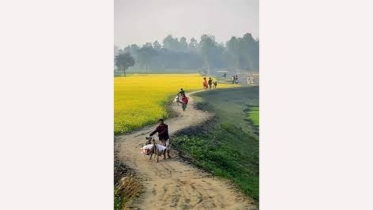 পল্লীর মুগ্ধকর রূপ