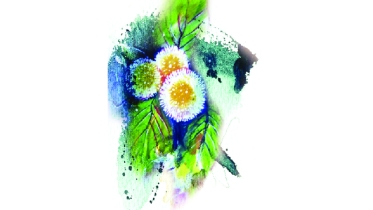 প্রকৃতির অপরূপ সাজ