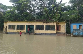 পিরোজপুরে অতিরিক্ত জোয়ারের পানিতে বেড়িবাঁধ ভেঙে নিম্নাঞ্চল প্লাবিত 