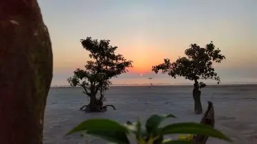 কুয়াকাটার প্রাকৃতিক স্বর্গ, সৌন্দর্য ডানা মেলেছে গঙ্গামতির চরে