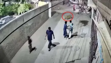 প্রাচীর টপকে ভরা রাস্তায় সিংহ, অতপর...