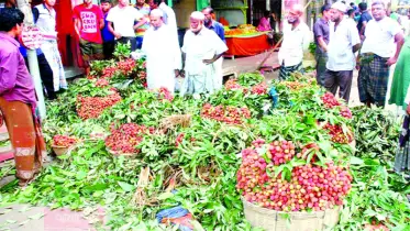 মধুময় মৌসুমে ফলের সমাহার