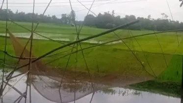 কালের বিবর্তনে হারিয়ে গেছে খড়া জাল