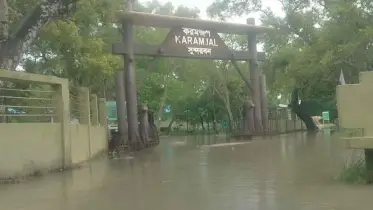 সুন্দরবনে জলোচ্ছ্বাস, মৃত হরিণ উদ্ধার