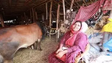 লালনপালনে মমতা