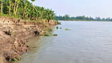 টাঙ্গাইলে যমুনার ভাঙনের আশঙ্কায় শিক্ষাপ্রতিষ্ঠান ও পাঁচ শতাধিক পরিবার