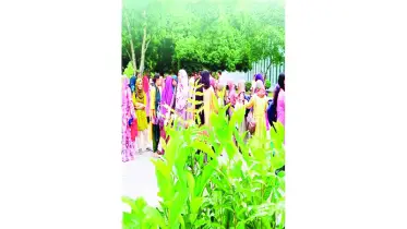 প্লাস্টিকের বদলে গাছ