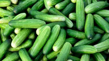 রূপচর্চায় শসার যত গুণ