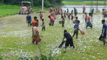 আধুনিকতার ভিড়ে হারিয়ে যাচ্ছে গ্রামবাংলার মাছ ধরার ঐতিহ্য