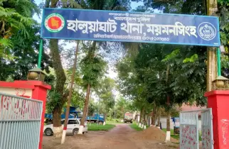 হালুয়াঘাটে জাম পাড়তে গাছে উঠেই প্রাণ গেল বৃদ্ধের