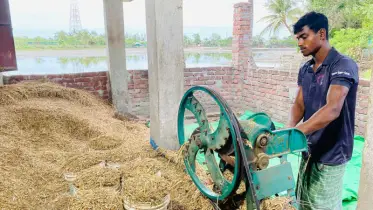 খামার ব্যবসা করে স্বাবলম্বী দুই ভাই 