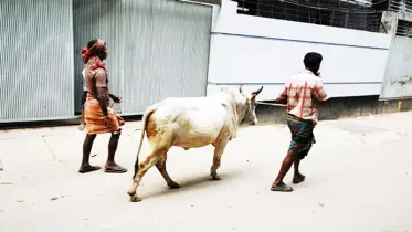 নৈতিক দায়িত্ব ধর্মীয় কর্তব্য