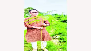 চাই অনেক বৃক্ষসখা