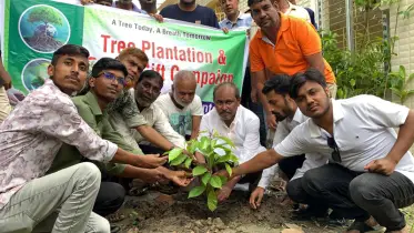 পরিবেশের ভারসাম্য রক্ষায় ব্রাইট লাইফ ভলান্টিয়ার্সের বৃক্ষরোপণ কর্মসূচি