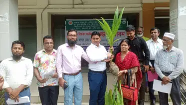 রায়পুরায় ছয় হাজার ৩৬০ জনের মাঝে বিনামূল্যে বীজ ও চারা বিতরণ