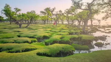 ডিসি পয়েন্টে থাকা-খাওয়ার ব্যবস্থা না থাকায় ভোগান্তিতে পর্যটকরা
