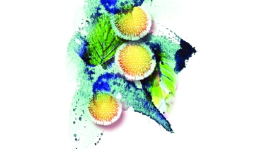 বৃষ্টি আর বিরহ বন্দনা