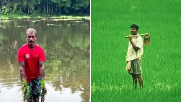 টানা বৃষ্টিতে পানির নিচে ফসলি জমি, দিশেহারা কৃষক