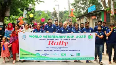 হবিগঞ্জ কৃষি বিশ্ববিদ্যালয়ে বিশ্ব ভেটেরিনারি দিবস উদযাপন