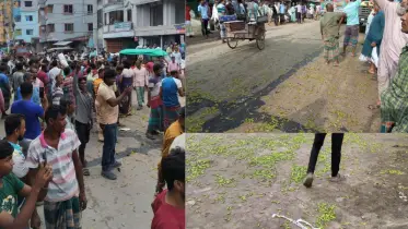 কৃষকদের প্রতিবাদ: সিন্ডিকেটের বিরুদ্ধে আদমদীঘিতে কাঁচা মরিচ ফেলে মহাসড়ক অবরোধ