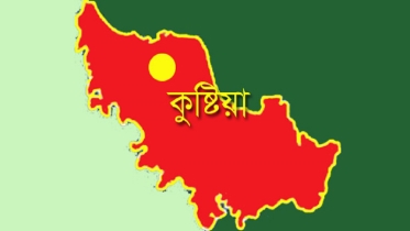 কুষ্টিয়ার মিরপুরে ১২ বছরের শিশুকে ধর্ষণ, অভিযুক্ত পলাতক
