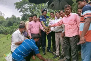 “পরিকল্পিত বনায়ন করি, সবুজ বাংলাদেশ গড়ি”—কালীগঞ্জে ১০ কিলোমিটারজুড়ে গাছরোপণ কর্মসূচির উদ্বোধন