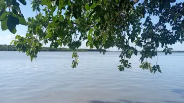 প্রাকৃতিক ৬ চিকিৎসক: রোগ নয়, সুস্থতাই হোক অভ্যাস