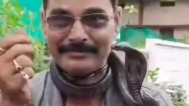 গলায় কোবরা ঝুলিয়ে রিল বানাতে গিয়ে প্রাণ গেল সাপ উদ্ধারকারীর
