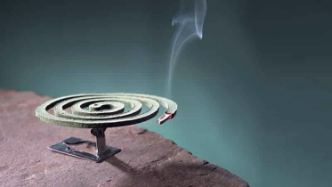 মশা তাড়াতে গিয়ে যেসব ভুল করলে হতে পারে বিপদ