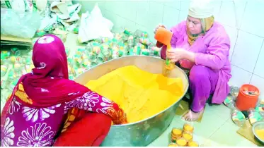 শিল্পে জিঞ্জিরার সম্ভাবনা