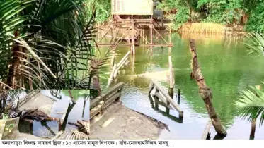 কলাপাড়ায় আয়রন ব্রিজ বিধ্বস্ত  দুর্ভোগে ১০ গ্রামের মানুষ