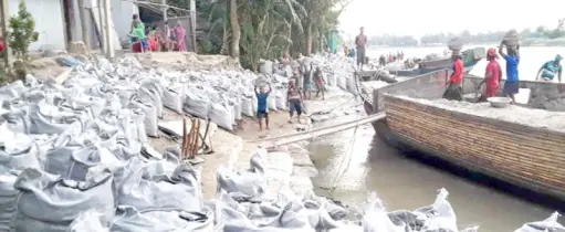 মির্জাপুরে ঝিনাই নদীর ভাঙন রোধে জিও ফেলছে পাউবো
