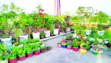 ছাদকৃষির জন্য টিপস্